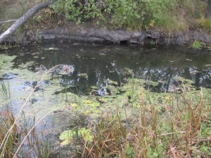 IMG_1125.JPG