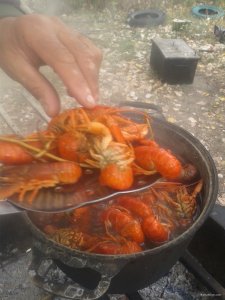 20190922_095427.jpg