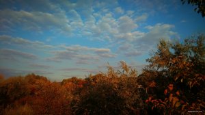 IMG_20190928_193407.jpg