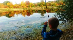 IMG_20190928_175856.jpg