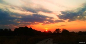 IMG_20190928_193335.jpg