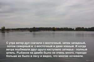 0-0 011.jpg