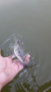 20190929_090443.jpg