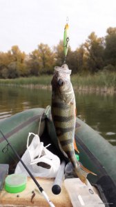 20190929_102747.jpg