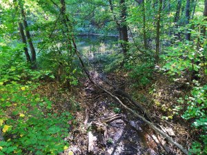 IMG_20190928_112352.jpg