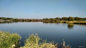 IMG_20190928_115506.jpg