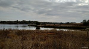IMG_20190928_090038.jpg
