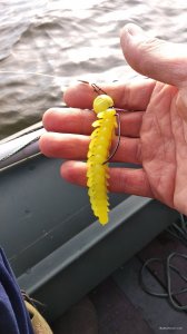 IMG_20190926_160057.jpg