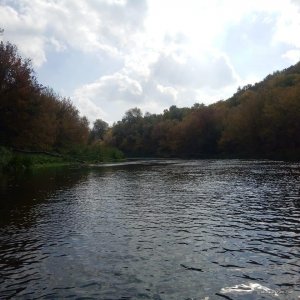 IMG_20191001_093515_923.jpg