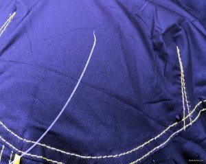 IMG_20190929_073400.jpg