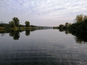 IMG_20190929_082336.jpg