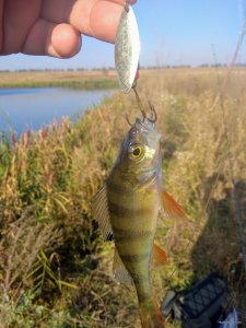 IMG_20190928_091038.jpg