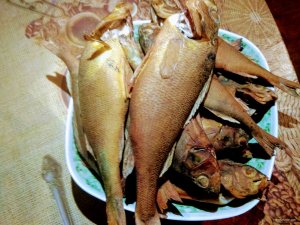 IMG_20190928_200040.jpg