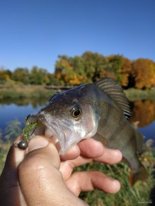 IMG_20191002_100920.jpg
