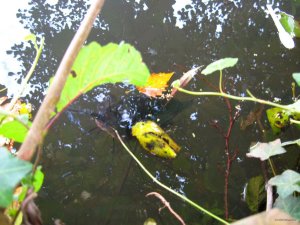 IMG_1404.JPG