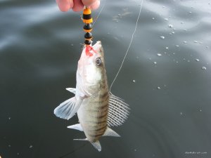 IMG_5028.JPG