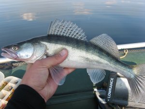 IMG_5033.JPG