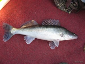IMG_5046.JPG