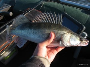 IMG_5047.JPG