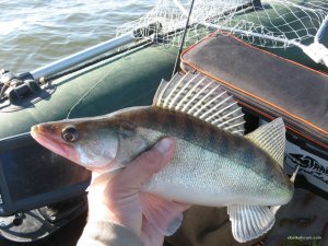 IMG_5049.JPG