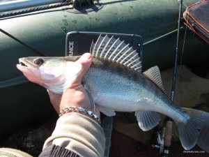 IMG_5053.JPG