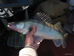 IMG_5054.JPG