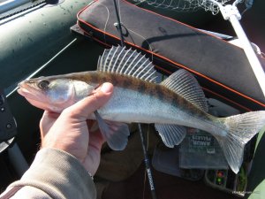 IMG_5055.JPG