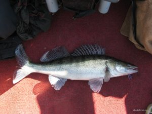 IMG_5057.JPG