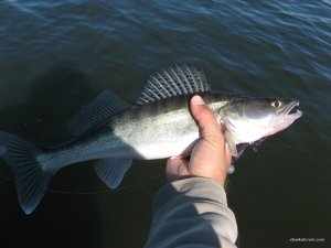 IMG_5060.JPG