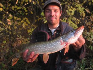 IMG_1150.JPG