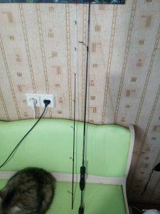 IMG_20190927_151028.jpg