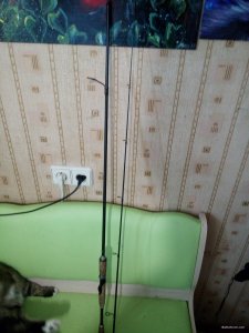 IMG_20190927_150712.jpg