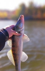 20191003_184438.jpg