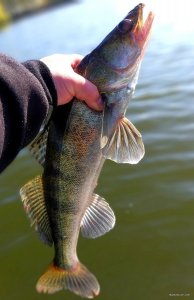 20191003_184744.jpg