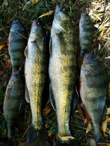 20191003_192311.jpg