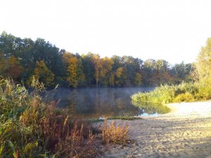 IMG_20191002_075421.jpg