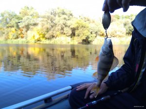 IMG_20191002_093214.jpg