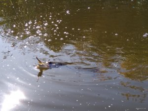 IMG_20191002_104158.jpg