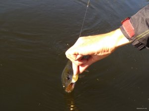 IMG_20191002_104243.jpg