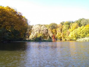 IMG_20191002_131703.jpg