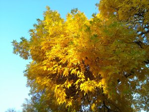 IMG_20191003_171331.jpg