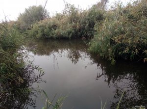 P90930-095816.jpg