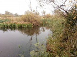 P90930-094740.jpg