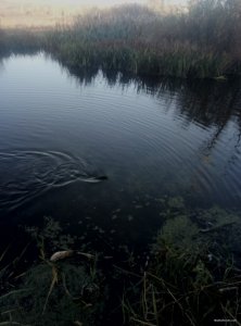 P91002-074319.jpg