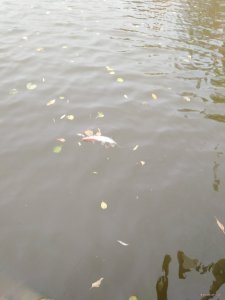 IMG_20191004_114823.jpg