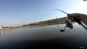 vlcsnap-2019-10-04-17h45m08s593.png