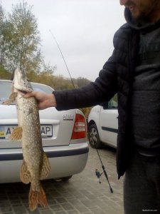 IMG_20191004_162012.jpg