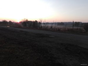 IMG_20191004_065210.jpg
