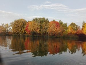 IMG_20191004_073221.jpg