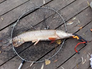 20191004_113256.jpg